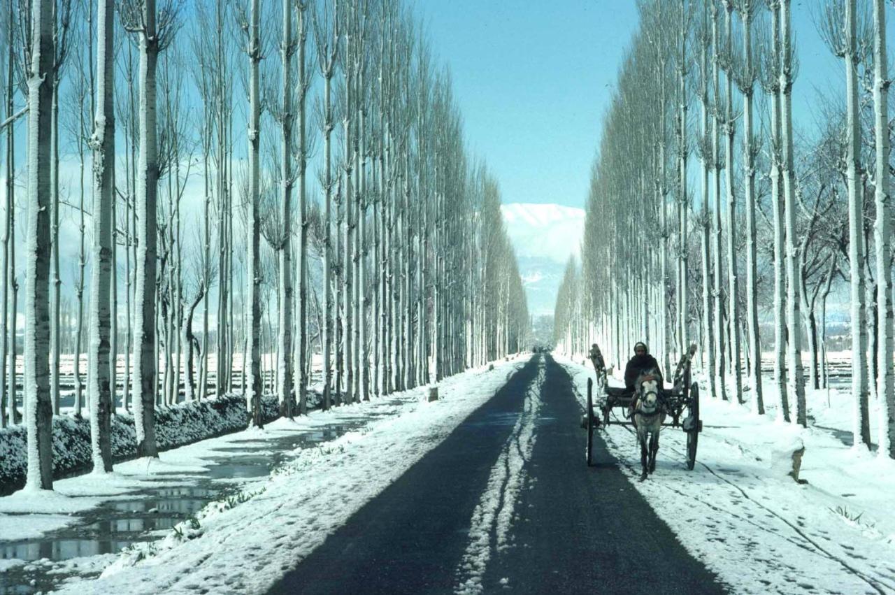 Hotel Al Azrah Srinagar  Bagian luar foto